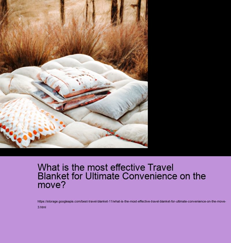 What is the most effective Travel Blanket for Ultimate Convenience on the move?