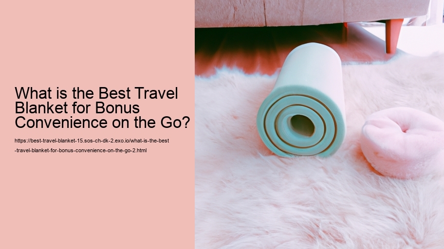 What is the Best Travel Blanket for Bonus Convenience on the Go?
