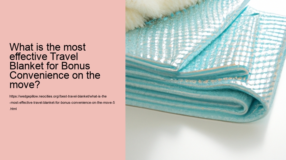 What is the most effective Travel Blanket for Bonus Convenience on the move?
