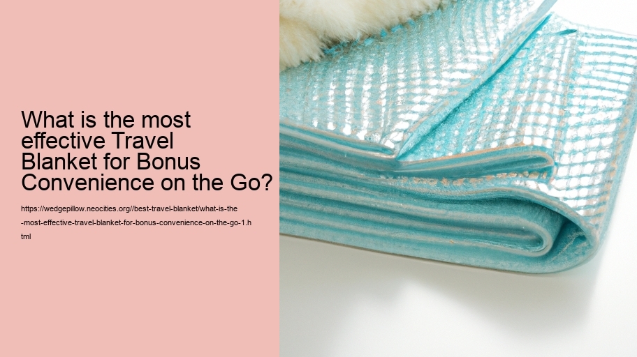 What is the most effective Travel Blanket for Bonus Convenience on the Go?