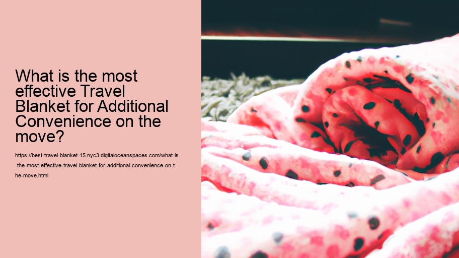 What is the most effective Travel Blanket for Additional Convenience on the move?
