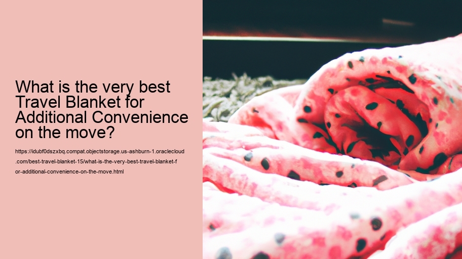 What is the very best Travel Blanket for Additional Convenience on the move?