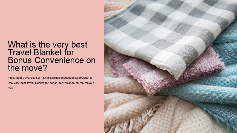 What is the very best Travel Blanket for Bonus Convenience on the move?